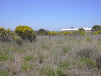 DSCN0247.JPG