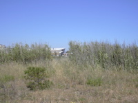 DSCN0248.JPG