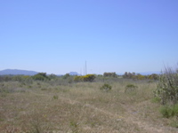 DSCN0250.JPG