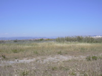 DSCN0252.JPG