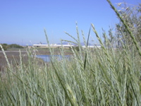 DSCN0254.JPG