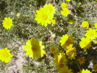 DSCN0251.JPG